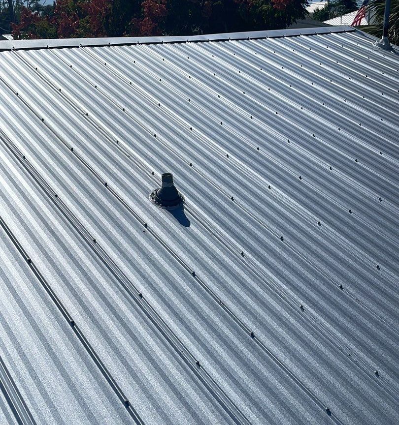 Close-up of exposed-fastener metal roof panels showing rows of screw heads